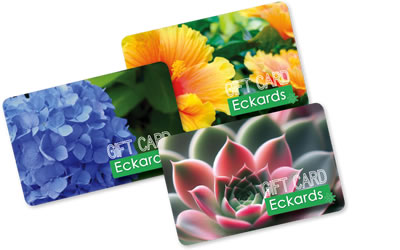 Eckards Gift Cards
