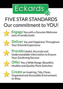 Five Star Standards - Our commitment to you
