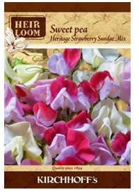 Unusual colours in Heirloom Sweet peas