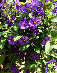 Can we confess that Blue is our favourite colour?