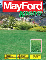 Kikuyu remains the most popular lawn in SA