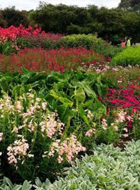 Bold groupings of similar colours