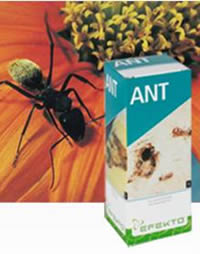 Efekto Ant for outdoor ant problems 
