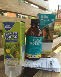 Protect with Merit or Plant Protector