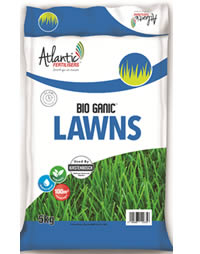 Restore the green of your lawn