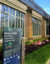 Goose Bumps Alert! The Winter Garden in Auckland