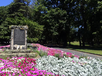 Cornwall Park where you are surrounded by trees all over 100 years old