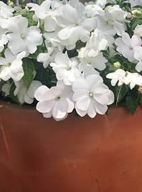 As containers age they get more character