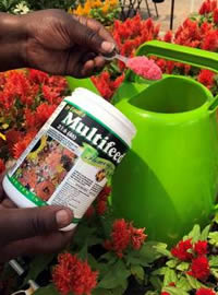 Extend colour with Multifeed