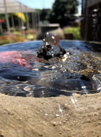 Water encompasses all the senses