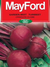 Crimson Globe is a very dark beetroot