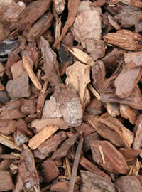 Bark chips make for long lasting Mulch