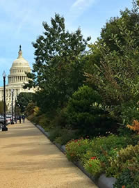 The Botanical Garden in Washington is well worth the visit