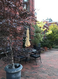 Collectable plants at the Smithsonian