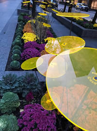 Sidewalk displays in Chicago