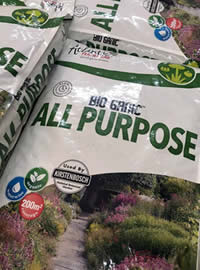 Feed now for spring success