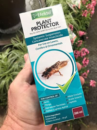 Plant Protector halts the beetles