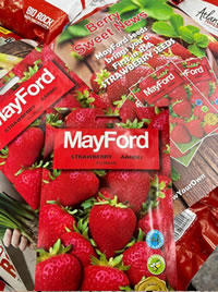 Florian Strawberry seeds from MayFord