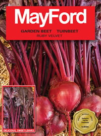 Ruby Velvet Beet - Eat it from leaf to root!