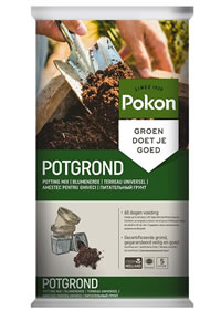 When replaning use a premium potting soil When replaning use a premium potting soil