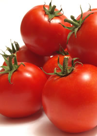 If you grow nothing else try Tomatos If you grow nothing else try Tomatos