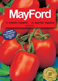Legato is a vigorous tomato from Mayford Legato is a vigorous tomato from Mayford
