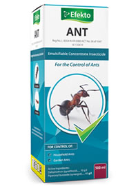 Sort out the Ants now