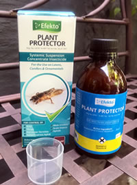 Plant Protector sorts out the summer bugs Plant Protector sorts out the summer bugs