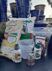 Everything you need to grow Orchids Everything you need to grow Orchids