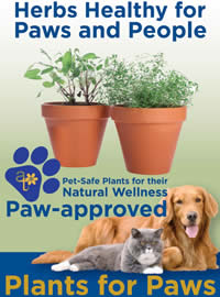 Paw Approved herbs for pet health Paw Approved herbs for pet health