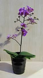 Add a touch of the orient indoors