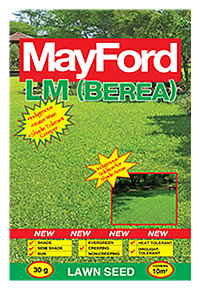 LM indigenous shade grass