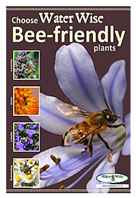 Look out for our Water Wise plants
