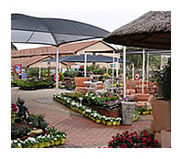 Eckards is full of colour to inspire you to garden