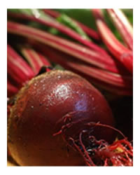 Get some Beetroot in now 