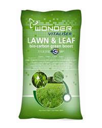 Boost lawn colour now