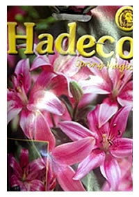 Time for Lilium Bulbs