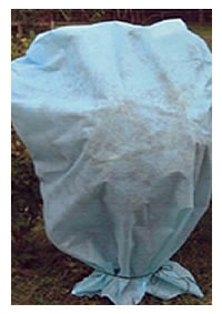 Don’t get caught this year