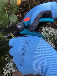 A good secateurs will make a clean cut