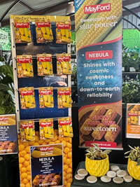 Instore at Eckards find Sweetcorn Nebula