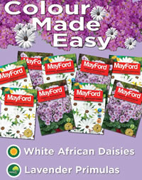 Sun or Shade success with Mayford Sun or Shade success with Mayford