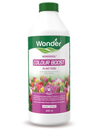 Top up feeding once established with Wondersol Top up feeding once established with Wondersol