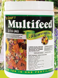 Feed with Multifeed Flowergro to ensure flowers next year Feed with Multifeed Flowergro to ensure flowers next year