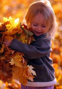 Dry Leaves are referred to as Brown Material Dry Leaves are referred to as Brown Material