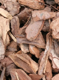 Bark chips last a few seasons as Mulch Bark chips last a few seasons as Mulch