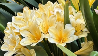 Read Our Gardening Blog