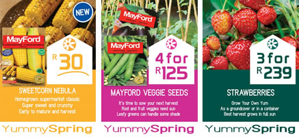 Latest Gardening Promotion At Eckards